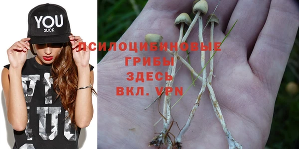 таблы Магадан