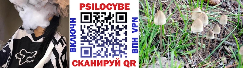 Купить  Ижевск  Галлюциногенные грибы GOLDEN TEACHER 